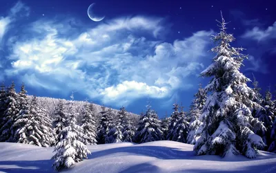 Обои Зима Природа Зима, обои для рабочего стола, фотографии зима, природа,  снег, дорога, ограда, деревья Обои для рабочего стола, скачать обои  картинки заставки на рабочий стол.