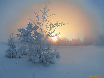 Зимняя заставка на рабочий стол - фото и картинки: 68 штук