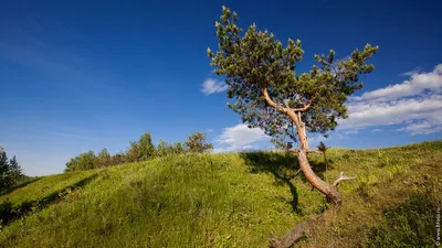 Профессиональные фото высокого разрешения бесплатно скачать