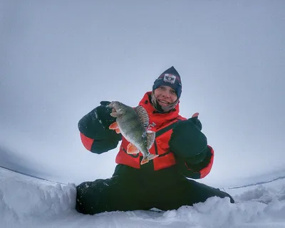 Зимняя рыбалка на окуня, ловля окуня зимой на озере на балансир и мормышку
