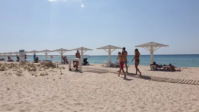 Пляж «Майами» в Оленевке, Крым. Фото и видео, отзывы, мыс Тарханкут, белый  пляж, отдых, на карте, как добраться — Туристер.Ру