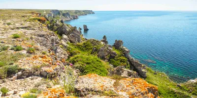 База отдыха в Оленевке \"Дельфин\", Крым, Тарханкут - Крымские Мальдивы !!!  350 метров от Черного..., Оленевка за 2 500 р.