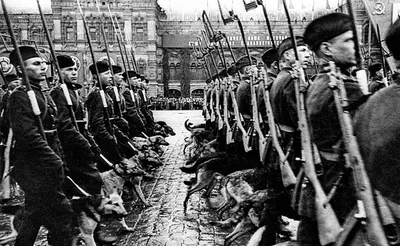 File:Парад Победы на Красной площади 24 июня 1945 г. (3).jpg - Wikimedia  Commons