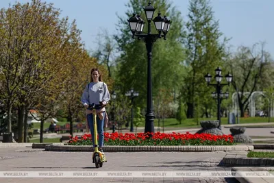 Солнце сквозь деревья в весеннем парке. красивый парк весной с ярким  солнцем, сияющим по деревьям Редакционное Стоковое Изображение -  изображение насчитывающей красивейшее, зелень: 235914314