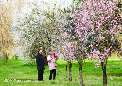 https://kldzoo.ru/arboretum/zoo-is-like-a-park/park-vesnoy/