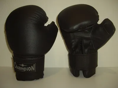 Перчатки для рукопашного боя Fight-1 - купить в Москве, Санкт-Петербурге,  Орле и других регионах | KULAK SHOP - товары для единоборств