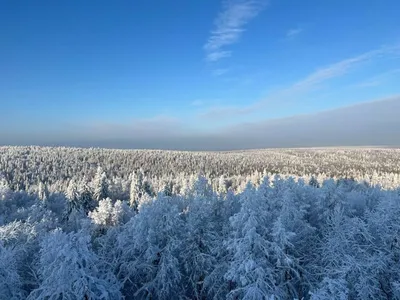 Пермский край — чудеса тайги