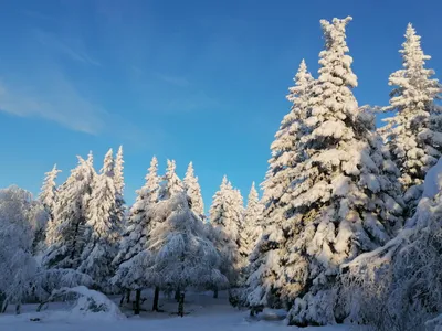 Зимние фотосессии в Перми. Фотограф Пермь. Фотосессия в фотостудии Перми и  на свежем воздухе