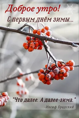 Первый день зимы, , Хоббитека купить книгу 978-5-9500774-4-9 – Лавка  Бабуин, Киев, Украина