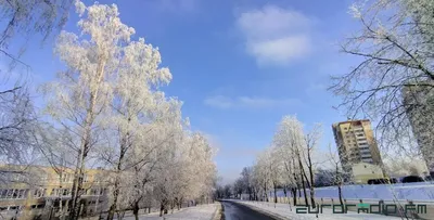 Поздравление с началом зимы (53 шт)
