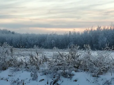 1 декабря Первый день зимы белый …» — создано в Шедевруме