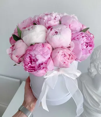 Пионы в шляпной коробке - Доставка цветов в Сочи - Belle Fleur