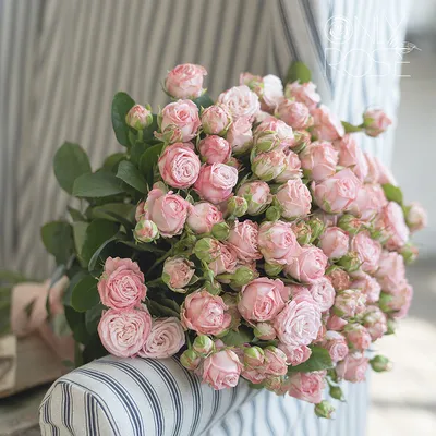 29 пионовидных роз – купить недорого с доставкой по Москве
