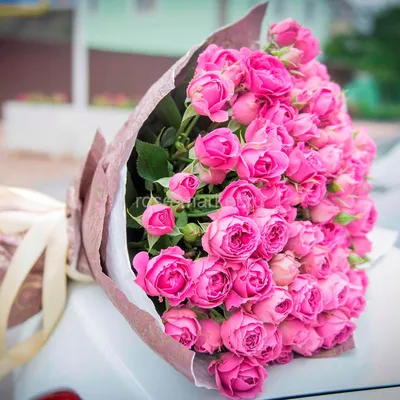 25 розовых кустовых пионовидных роз Фемке | купить недорого | доставка по  Москве и области | Roza4u.ru