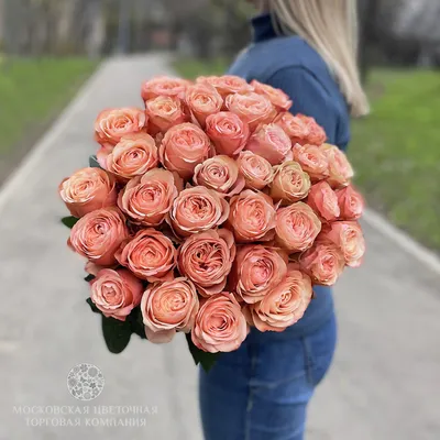 Букет из 9 розовых кустовых пионовидных роз 50 см (Россия) купить в СПб в  интернет-магазине Семицветик✿