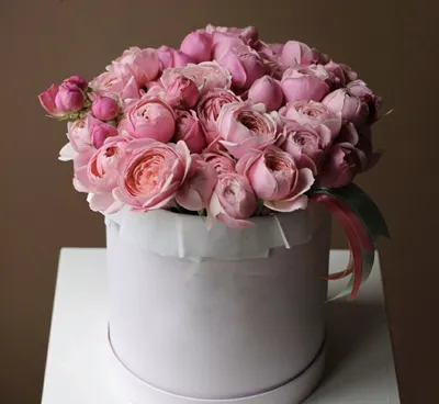 Коробка пионовидных роз с орхидеей - Арт. 2583