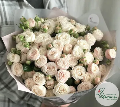 Букет кустовых пионовидных роз от 140 руб./шт. Купить цветы.