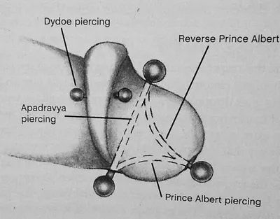 Что нужно знать о пирсинге клитора, прежде чем решиться на процедуру -  Лайфхакер