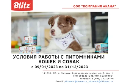 Логотип питомника собак \"Rocket Dogs\" - LogoFactory