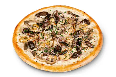 Пицца Римская Курица с грибами - Ваши Суши Бугульма