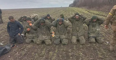 В финском плену умер каждый третий советский военнопленный – работа на  фермах спасла жизнь многим | Yle