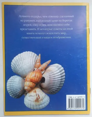 Какие оргинальные поделки можно сделать из ракушек?🐚 | Сделано дома | Дзен