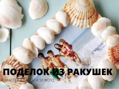 Декор поделки из морских ракушек морские ракушки ракушка рапан большая: 20  грн. - Аквариумистика Харьков на Olx