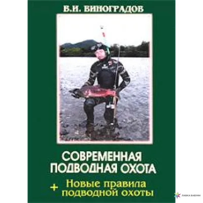 Устойчивые резиновые ленты для подводной охоты, оборудование для подводной  охоты, копье для подводной охоты, для гарпуна, для подводной охоты и  дайвинга | AliExpress