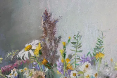 Картина маслом «Букет полевых цветов» - художник Сурков Алексей 100809