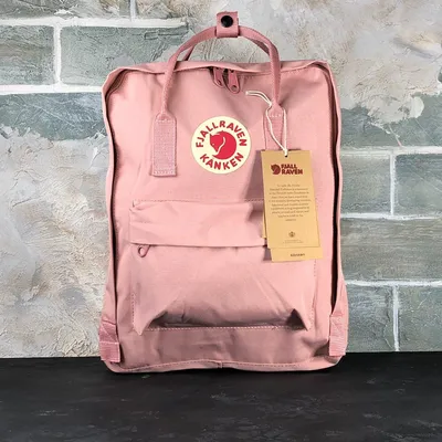 Рюкзак для маленьких девочек и мальчиков, в детский садик, портфель в школу  для детей купить по низким ценам в интернет-магазине Uzum (672833)