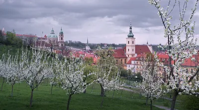 Прага весной
