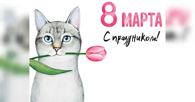 Топ худших подарков на 8 Марта: что не нужно дарить женщинам на 8 Марта - 2  марта 2021 - 29.ру