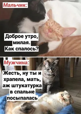 jokes #юмор #смешнодослез #смешно #юморок #шутка #1 #smiles #ржака #жесть  #шутки #прикол #смех #ржу #позитив #ржач #humor #улыбнуло… | Instagram
