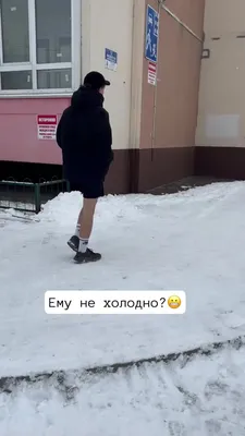 котэ жесть / смешные картинки и другие приколы: комиксы, гиф анимация,  видео, лучший интеллектуальный юмор.