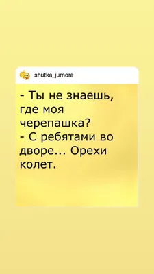 Бесплатные Слова Мудрости пинбэк Кнопка булавка Звезда Место Фильм Смешной  мем Жесть значок ювелирные изделия 58 мм | AliExpress