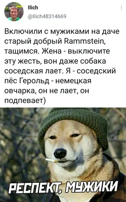 alfai.z - А самые страшные люди - бисексуалы!!! Мало того, что уводят  девушек, так они ещё и на нас поглядывают 🤣🤣🤣 #ржака #смех #приколы  #юмор #жесть #толерантность #улыбка | Facebook