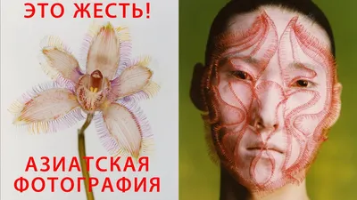 Прикольные картинки ❘ 23 фото от 29 августа 2022 | Екабу.ру -  развлекательный портал