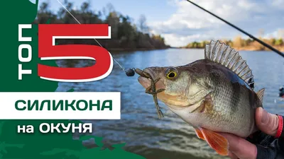 Воблеры для рыбалки. Смотреть 3D видео обзоры рыболовных приманок на щуку,  окуня, судака и прочих хищных рыб. – смотреть онлайн все 3 видео от Воблеры  для рыбалки. Смотреть 3D видео обзоры рыболовных