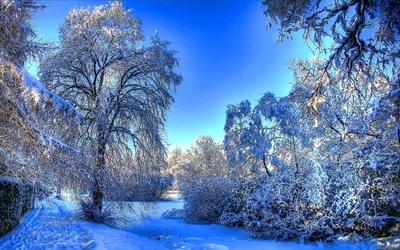 Фото природы зима высокого разрешения фотографии