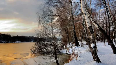 Лучшая подборка зимних картинок эстетика | Зимние сцены, Пейзажи, Зимние  картинки