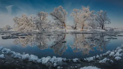 Замороженная фон природы. Голубой цвет фона. Фотографии высокого разрешения.  Стоковое Фото - изображение насчитывающей замораживание, листво: 196893900