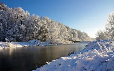 Обои замершее озеро, фото зимняя природа 2560x1440, заснеженная дорога,  глубокие сугробы, сосны, елки, лес