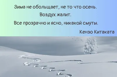 Цитаты про зиму: красивые высказывания о холодном, но красивом времени года