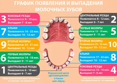 Гели при прорезывании зубов у ребёнка: за или против | НоваДент