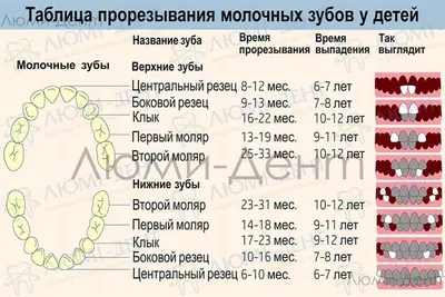 Способы облегчить боль при прорезывании зубов - Иркутский городской  перинатальный центр имени Малиновского М.С.