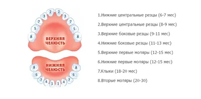ПРОРЕЗЫВАНИЕ ЗУБОВ | Как определить что у малыша прорезываются зубы -  YouTube