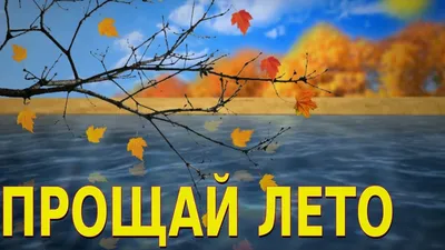 Прощай, лето Прекрасная надпись для плакатов, баннеров, обложек, открыток  Иллюстрация вектора - иллюстрации насчитывающей знамена, праздник: 157523873