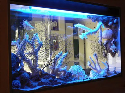 Оформление аквариума для вашего интерьера квартиры в Москве