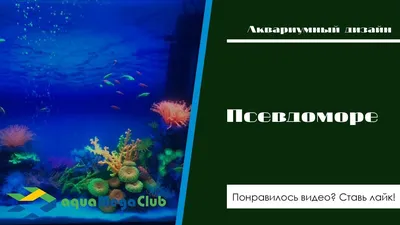 Мои три аквариума - АКВАРИУМЫ И ДНЕВНИКИ НАШИХ ФОРУМЧАН - Форум FanFishka.ru