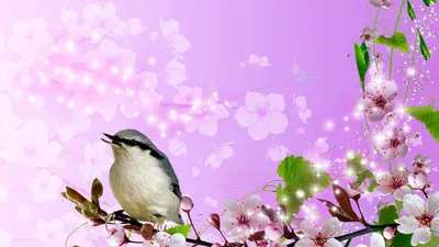 Картина на холсте \"Синие птицы весной\"